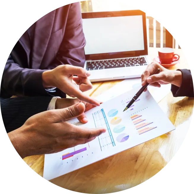 Supplier Financial & Strategic Advisory